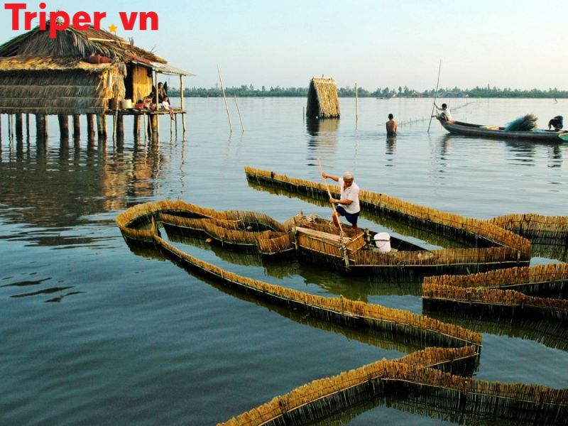 Hoạt động trải nghiệm & ẩm thực
