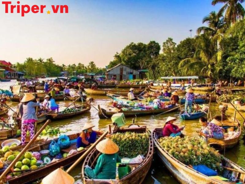 Top 5 địa điểm du lịch Miền Tây nổi bật nhất