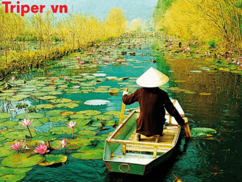 Hoạt động trải nghiệm & ẩm thực