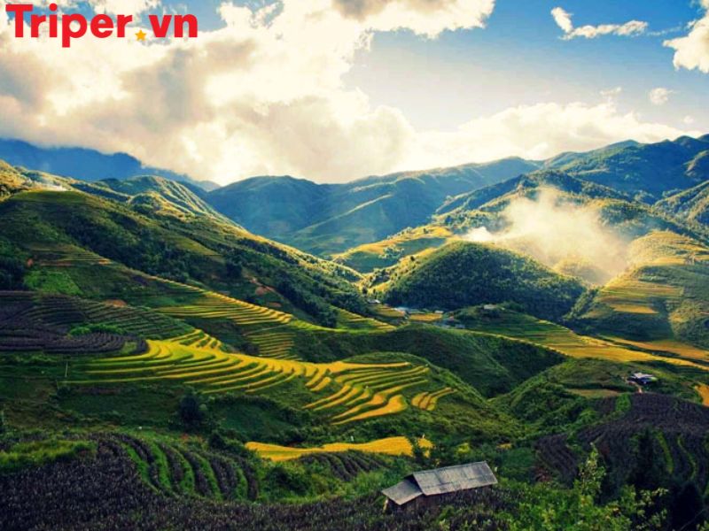 Top 5 địa điểm du lịch Lào Cai nổi bật nhất