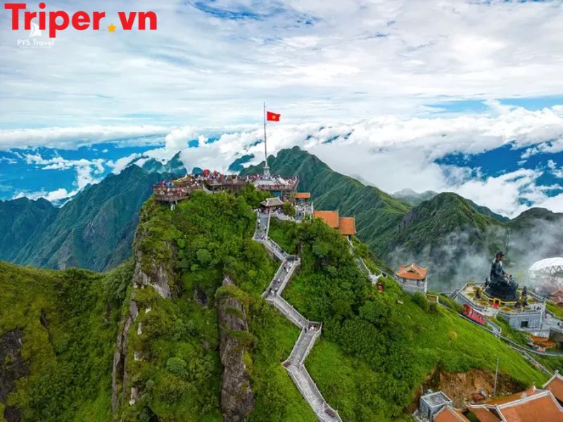 Hoạt động trải nghiệm & ẩm thực