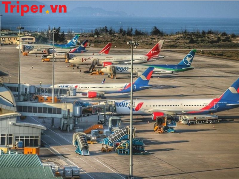 Hoạt Động Trải Nghiệm &Amp; Ẩm Thực