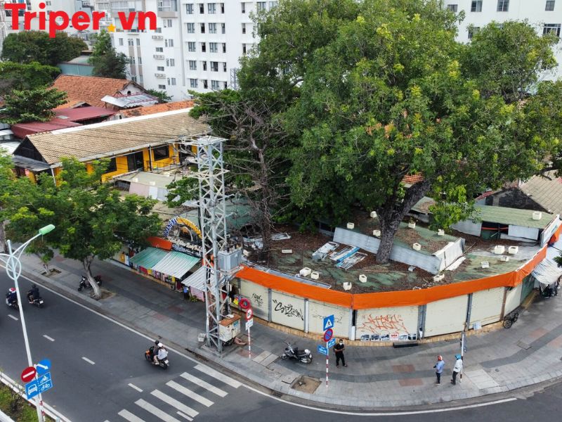 Hoạt Động Trải Nghiệm &Amp; Ẩm Thực