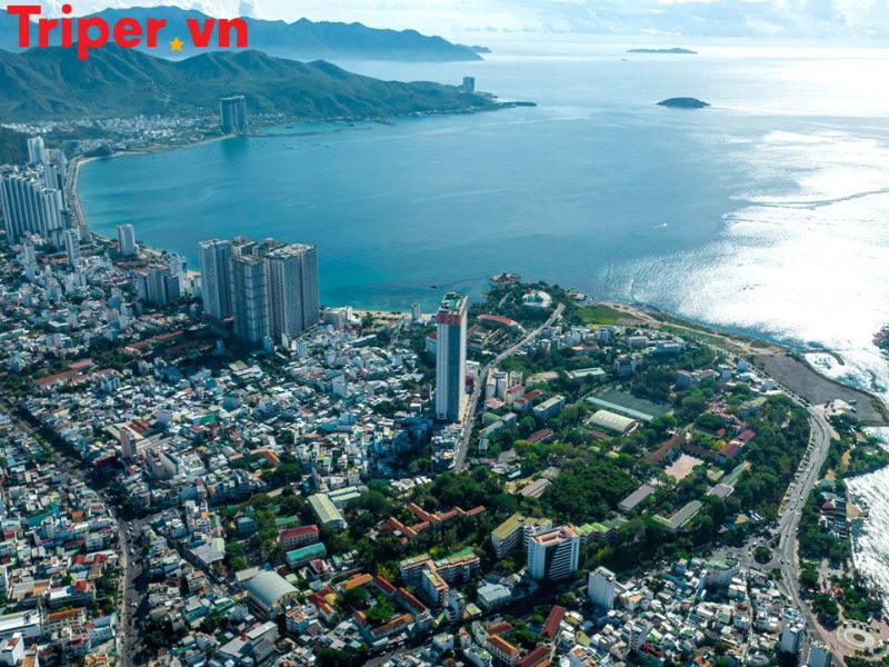 Hoạt động trải nghiệm & ẩm thực