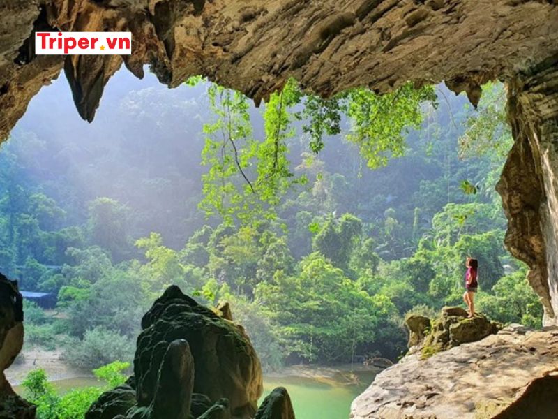 Gợi ý lịch trình du lịch Phong Nha – Kẻ Bàng từ TP.HCM