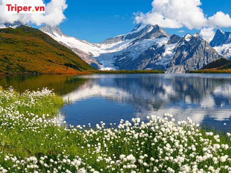 Gợi Ý Lịch Trình Du Lịch Thụy Sĩ Từ Việt Nam