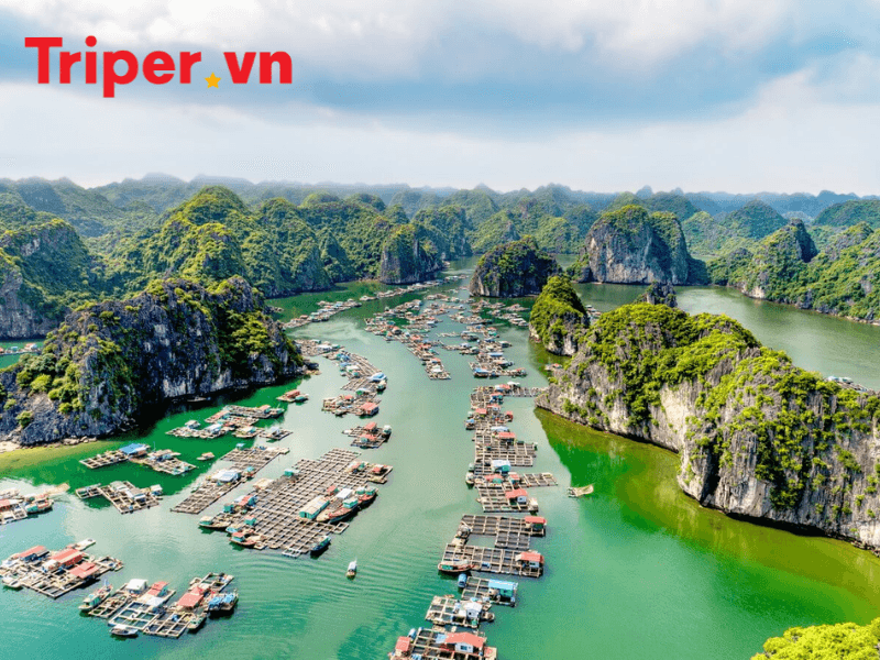 Hải Phòng điểm đến bùng nổ trên bản đồ du lịch
