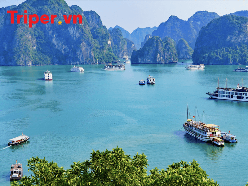 Hải Phòng – thiên đường ẩm thực đánh thức vị giác