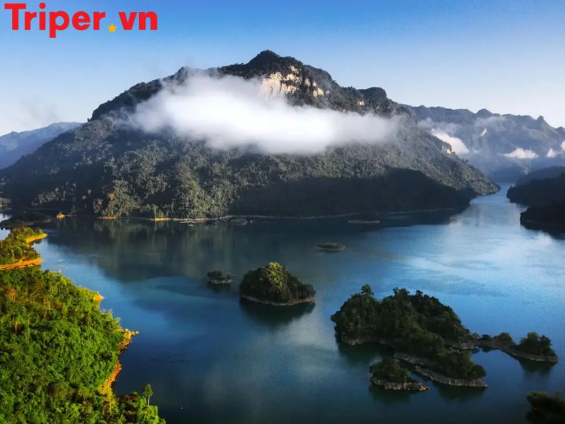 Hoạt Động Trải Nghiệm &Amp; Ẩm Thực