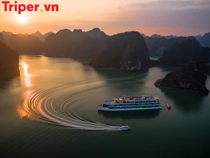 Hoạt động trải nghiệm & ẩm thực