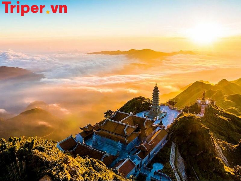 Hoạt động trải nghiệm & ẩm thực