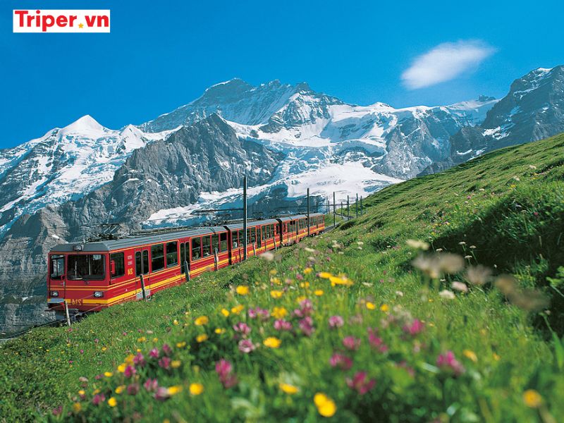 Hoạt Động Trải Nghiệm &Amp; Ẩm Thực Đặc Trưng