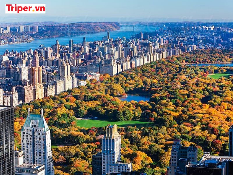 Hoạt Động Trải Nghiệm &Amp; Ẩm Thực Đặc Trưng