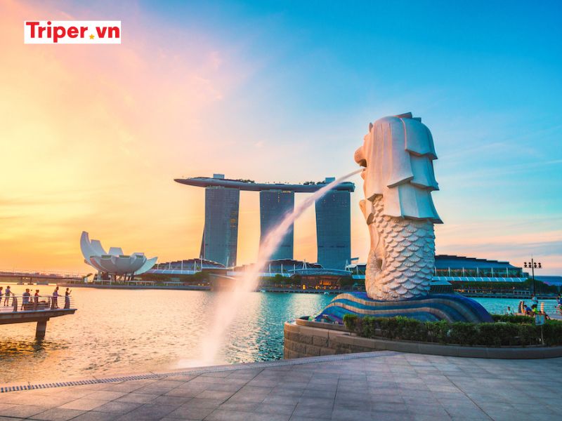 Hoạt động trải nghiệm và ẩm thực đặc sắc