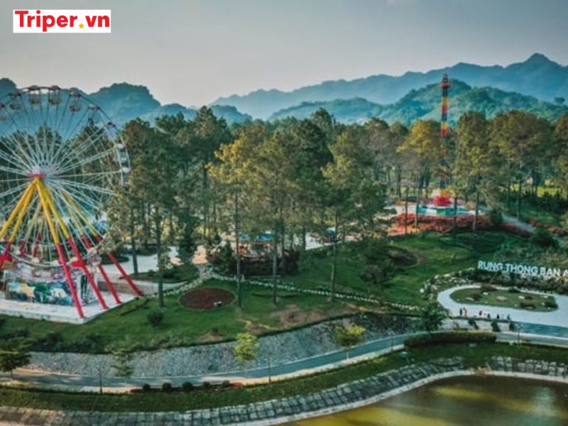 Khám phá các địa điểm du lịch Sơn La nổi bật