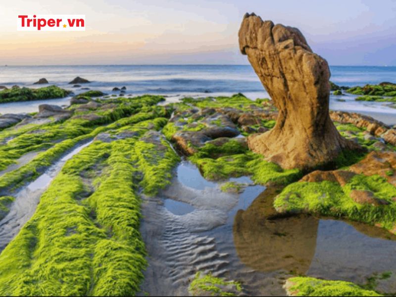 Kinh nghiệm du lịch Phan Thiết từ A đến Z