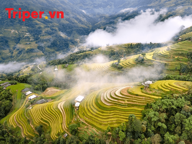 Lịch trình du lịch Hà Giang chi tiết hấp dẫn