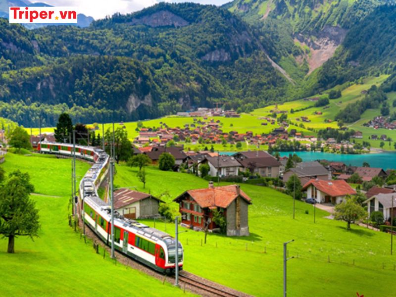 Những Địa Điểm Du Lịch Thụy Sĩ Nổi Bật Không Thể Bỏ Qua