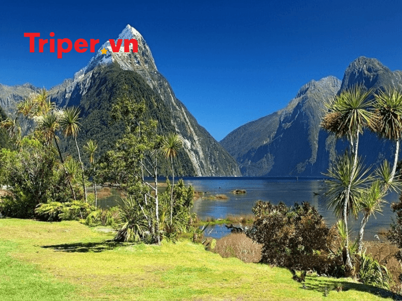 Tại sao New Zealand là điểm đến trong mơ