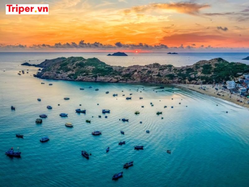 Top 15+ địa điểm du lịch Quy Nhơn không thể bỏ lỡ