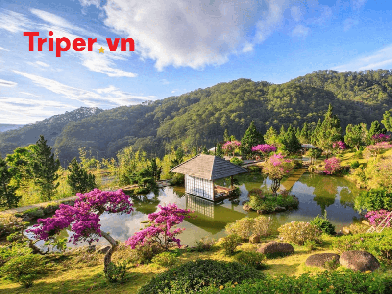 Top các địa điểm du lịch Đà Lạt không thể bỏ lỡ 2025