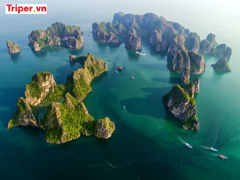 Trải nghiệm ẩm thực và hoạt động giải trí tại Quảng Ninh