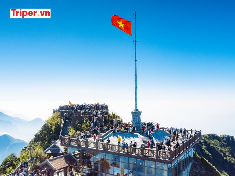 Trải Nghiệm Ẩm Thực Và Hoạt Động Giải Trí Về Đêm