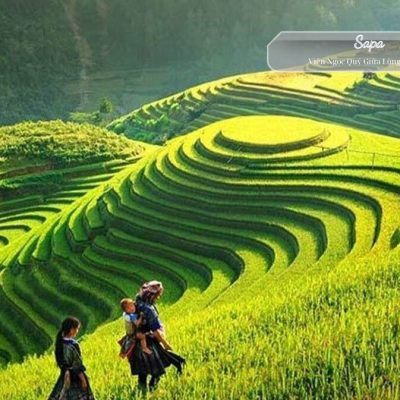 Sapa