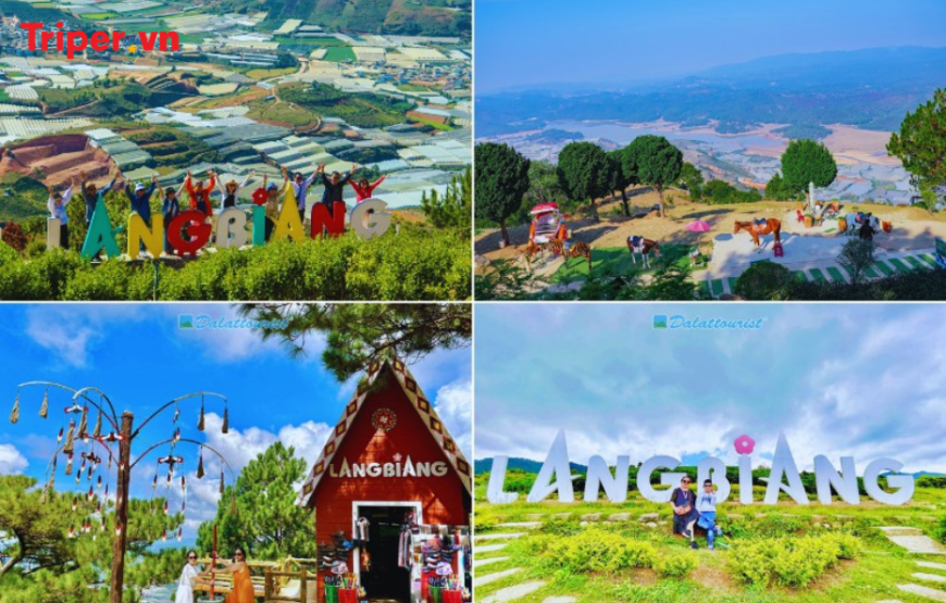 Tour Đà Lạt 5 ngày 4 đêm