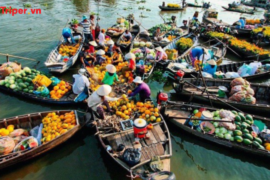 TOUR MIỀN TÂY 6 NGÀY 5 ĐÊM