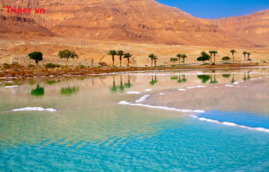 Hành trình khám phá Jordan: Amman – Wadi Rum – Petra – Madaba – Nebo – Biển Chết 6 ngày 5 đêm