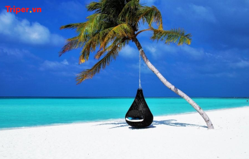 Maldives: Trải nghiệm thủy phi cơ và 2 đêm nghỉ dưỡng đẳng cấp tại Siyam World Maldives Resort 5*