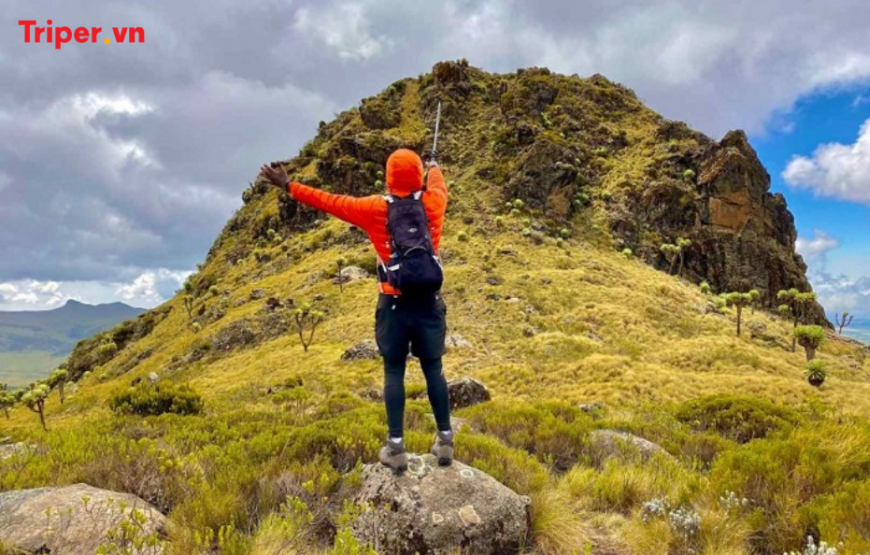Khám Phá Vùng Đất Hoang Dã Kenya 8 ngày 7 đêm