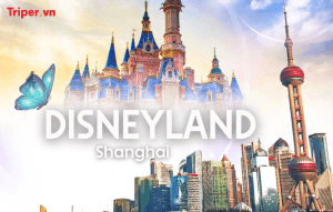 Trung Quốc: Thượng Hải - Tô Châu - Hàng Châu - Tự do khám phá Disneyland
