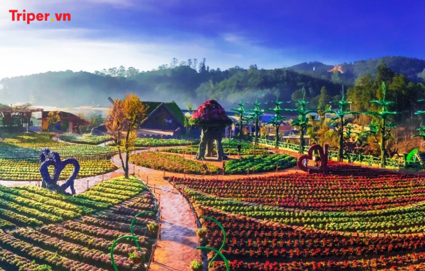 Tour Tây Nguyên 5 ngày 4 đêm từ TP Hồ Chí Minh