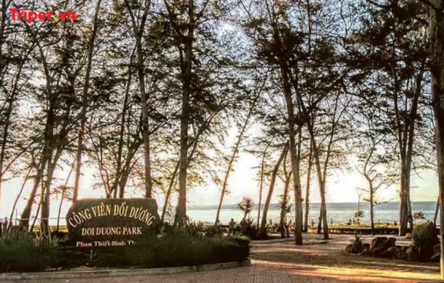 TOUR LA GI 2 NGÀY 1 ĐÊM – RESORT 3 SAO