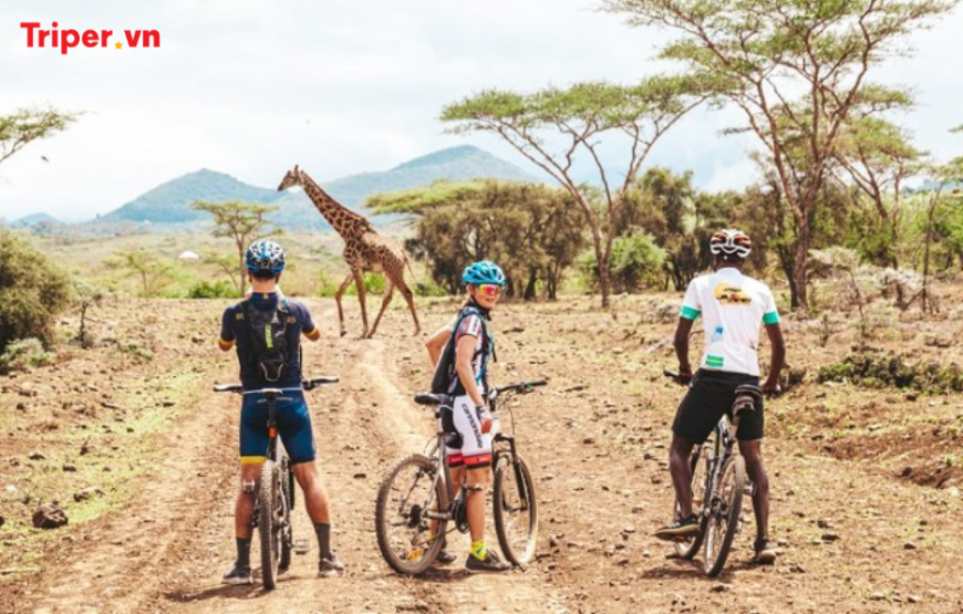 Khám Phá Vùng Đất Hoang Dã Kenya 8 ngày 7 đêm