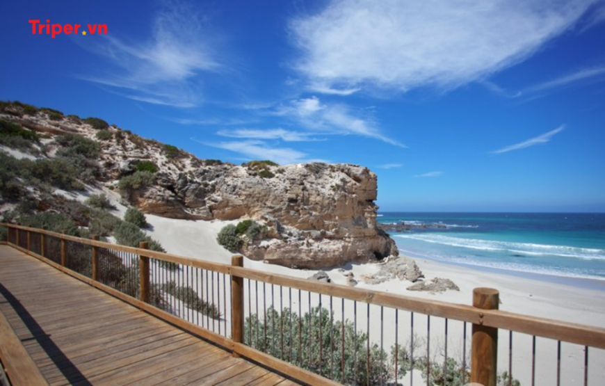 Tour Úc: Perth – Adelaide – Đảo Kangaroo