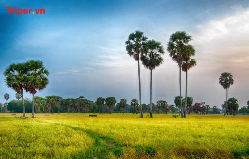 Tour Miền Tây 6 Ngày 5 Đêm đi 11 tỉnh miền tây