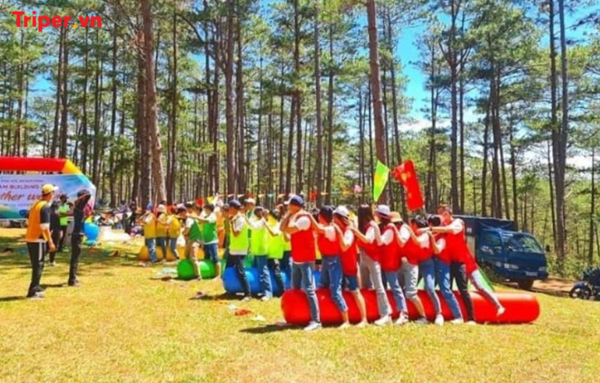 Tour du lịch Đà Lạt 4 ngày 3 đêm