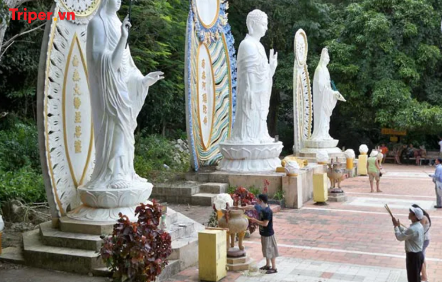 TOUR LA GI 2 NGÀY 1 ĐÊM – RESORT 3 SAO