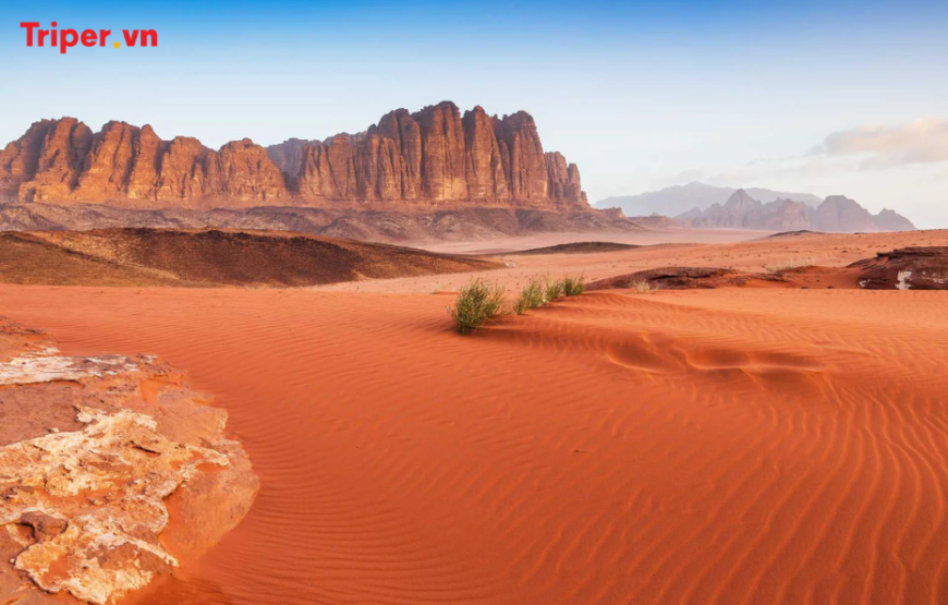 Hành trình khám phá Jordan: Amman – Wadi Rum – Petra – Madaba – Nebo – Biển Chết 6 ngày 5 đêm