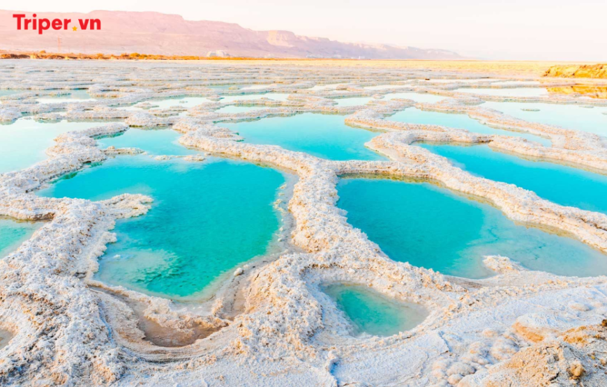 Hành trình khám phá Jordan: Amman – Wadi Rum – Petra – Madaba – Nebo – Biển Chết 6 ngày 5 đêm
