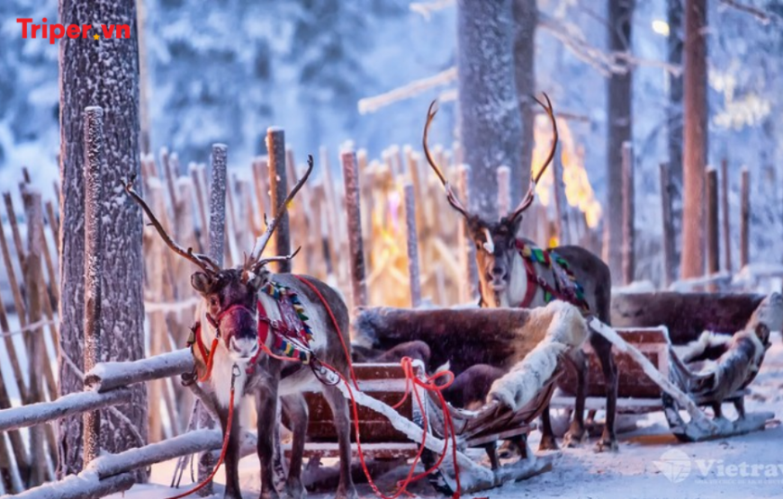 Bắc Âu: Na Uy – Phần Lan (Săn Bắc Cực Quang, Ghé thăm ngôi làng ông già Noel)