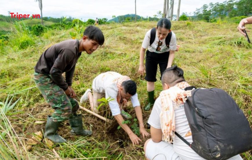 TOUR DU LỊCH TEAMBUILDING TP.HỒ CHÍ MINH – TÀ ĐÙNG 2 NGÀY 1 ĐÊM