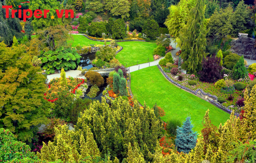 Canada: Vancouver – Victoria – Whistler – Grandviller Island – Vancouver