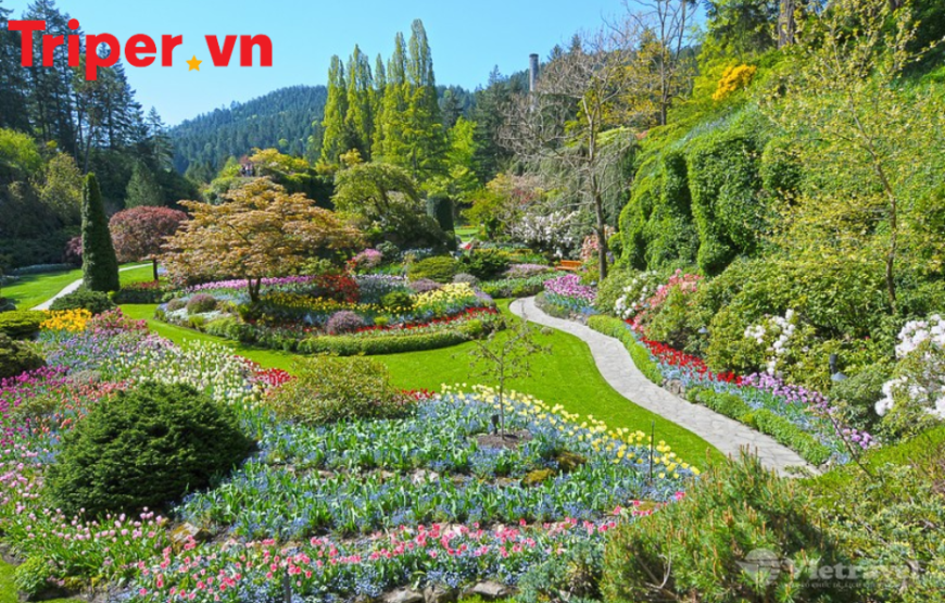 Canada: Vancouver – Victoria – Whistler – Grandviller Island – Vancouver