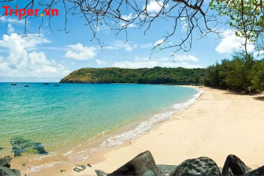 Chương Trình Tour Côn Đảo Giá Rẻ Khám Phá Bắc Và Nam Đảo 1 Ngày (4)