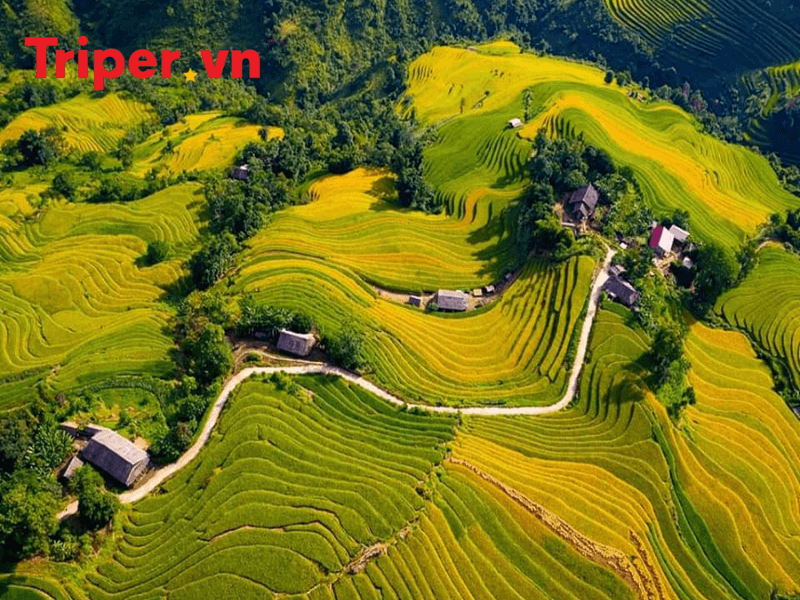 Du lịch Bắc Hà có gì hấp dẫn Bốn mùa gọi mời