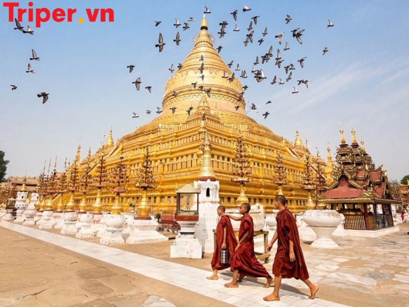Gợi ý lịch trình du lịch Myanmar 2 ngày 1 đêm từ TP. HCM